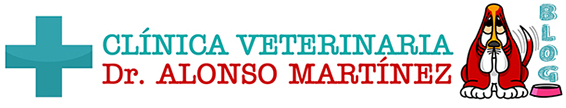 Clinica Veterinaria Málaga