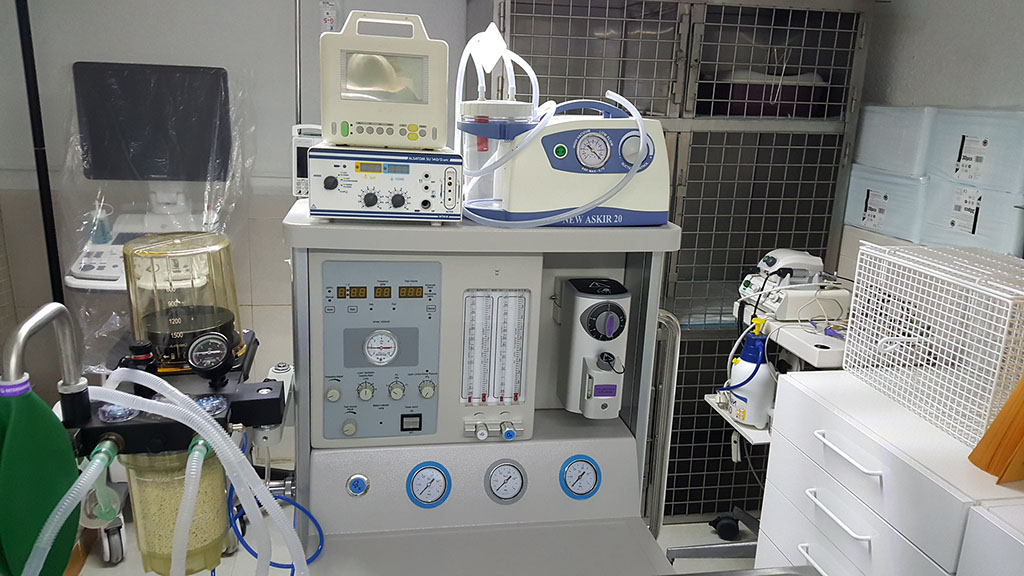 Veterinarios exóticos Málaga