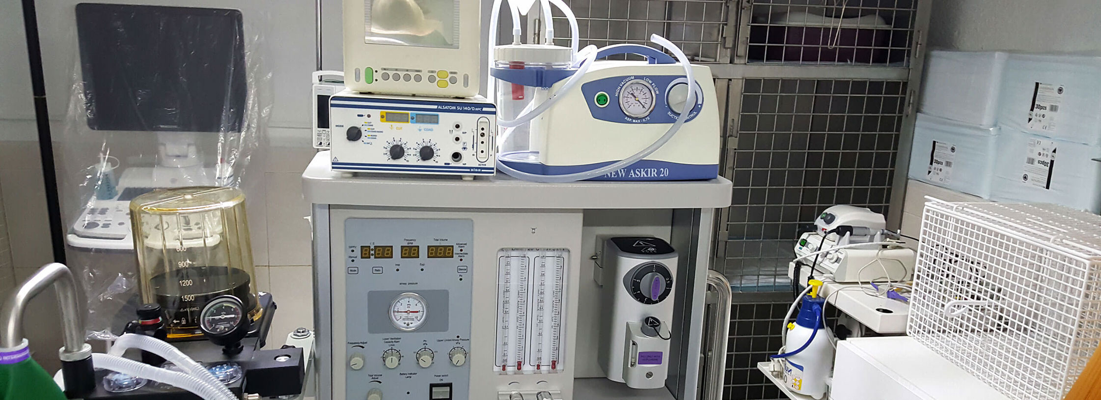 servicio de cirujia veterinaria