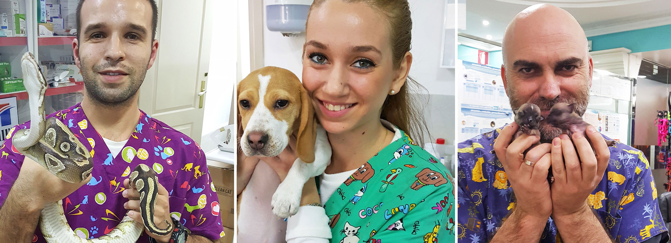 Clinica veterinaria en malaga