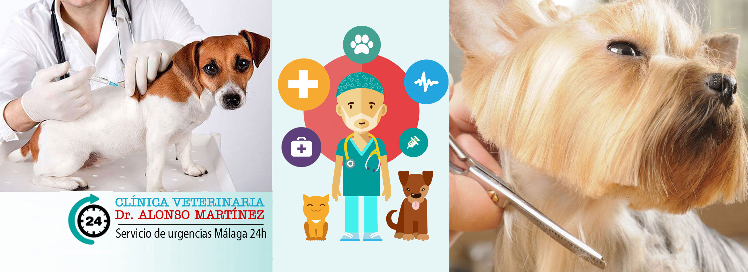 Clínica Veterinaria Málaga