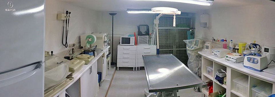 Veterinarios Málaga